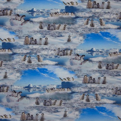 pinguins op ijslandschap